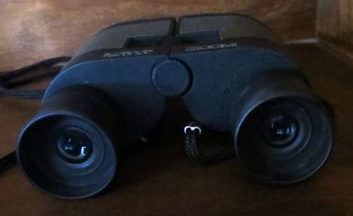 Binoculars - 8~25X25 Zoom - Field 4.0* at 8x with Pouch