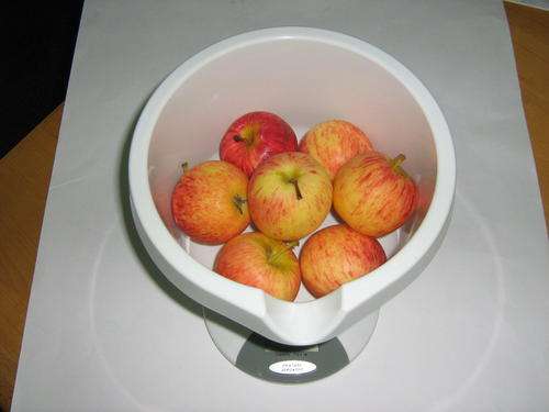 Vesta 3Kg Food Scale