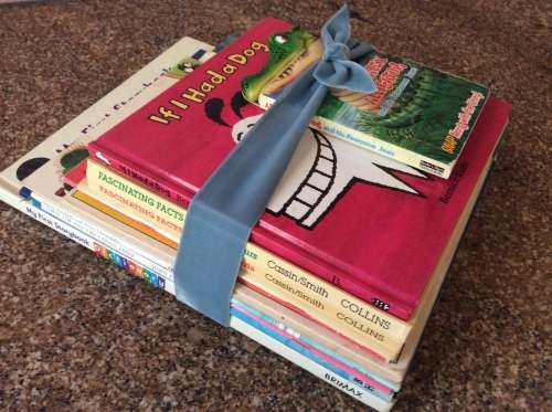 12 x Educational & Fun Story Books for Toddler Bedtimes