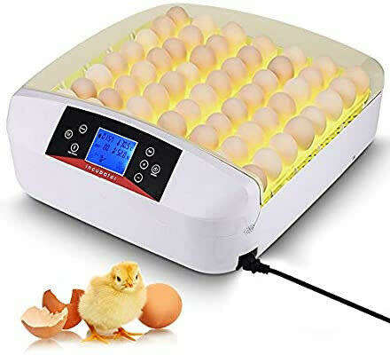 56 egg Incubator combo