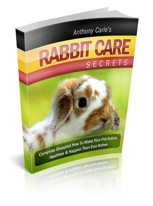 RABBIT CARE GUIDE -  How To Make Your Pet Rabbit Healthier and Happier  -*No Shipping Fee*  Ebook