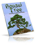 Growing Bonsai -  *No Shipping Fee*  Ebook