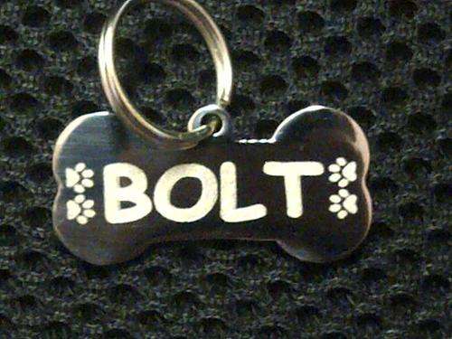 STAINLESS STEEL PET I.D TAG (BONE SMALL) INCLUDING ENGRAVING)