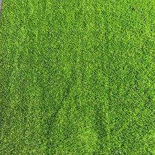Astro turf (Artificial Grass) - width 2m - 199 per meter message for order