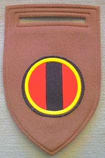 SADF Engineers "C" Coy Flash