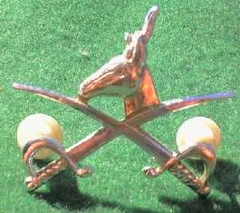 Physical Training Instructor Proficiency Badge - 3 pins