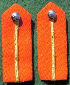 S.A. Army Colonel to Brigadier Rank Gorgets