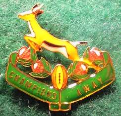 SA Rugby - Champions Away Lapel Badge