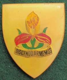 SA Military Academy Shoulder Flash