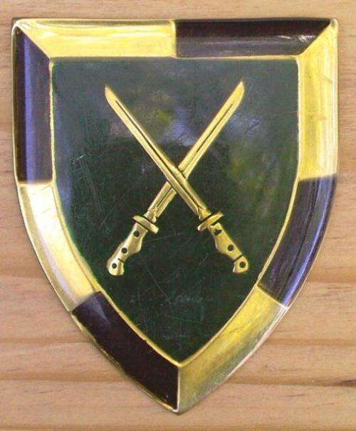 SA Infantry School Flash - no pins