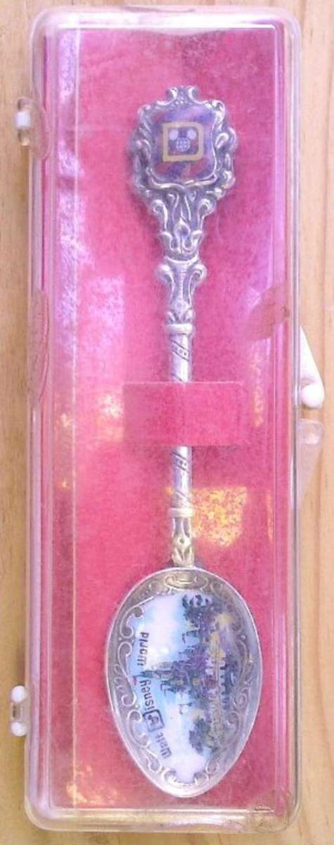 Walt Disney World Spoon in case