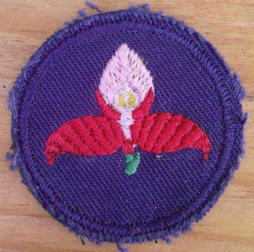 WP Rugby Disa Cloth Badge - 40mm