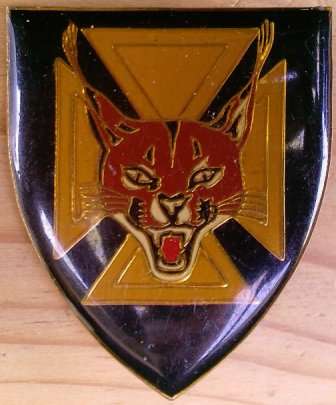 7 SA Infantry Bn Shoulder Flash - 1 pin missing