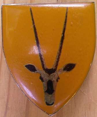 8 SA Infantry Bn Shoulder Flash