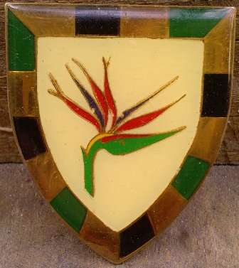 6 SA Infantry - Gold type - 2nd Issue - 3 pins