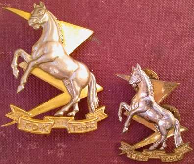 SA Technical Service Corps bi/m Cap & Collar Badge