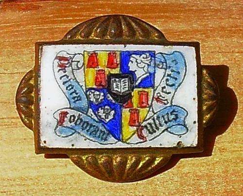 Stellenbosch University Ceramic & Brass Lapel Badge - 25 x 20mm