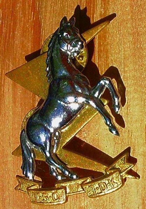 Technical Services Corps Collar badge