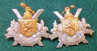Cape Town Highlanders Collar badges