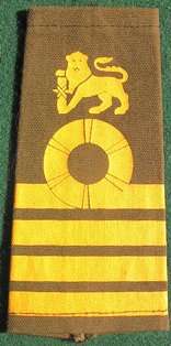 SA Marines Captain Rank 1980's