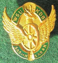 SA Railways & Harbours Lapel Badge