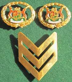 SAP W.O.1 & Sergeant Badges