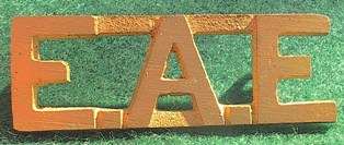 WW2 East African Engineers Shoulder Title - Cast