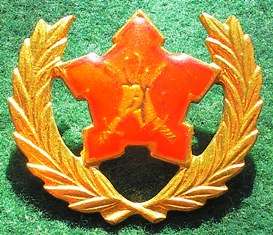 SA Army Volunteers Badge