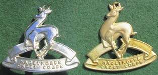 2 x SA Cadets Cap Badges - 1 x w/m, 1 x chrome