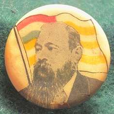 M.T Steyn Lapel Badge - 22mm