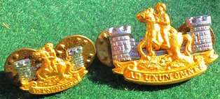 Regt. Namutoni Collar & Officers Mess Dress Collar Badge