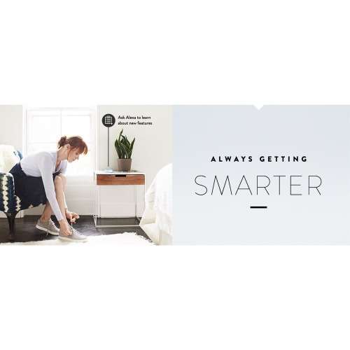 Amazon Echo Dot (Gen 2)