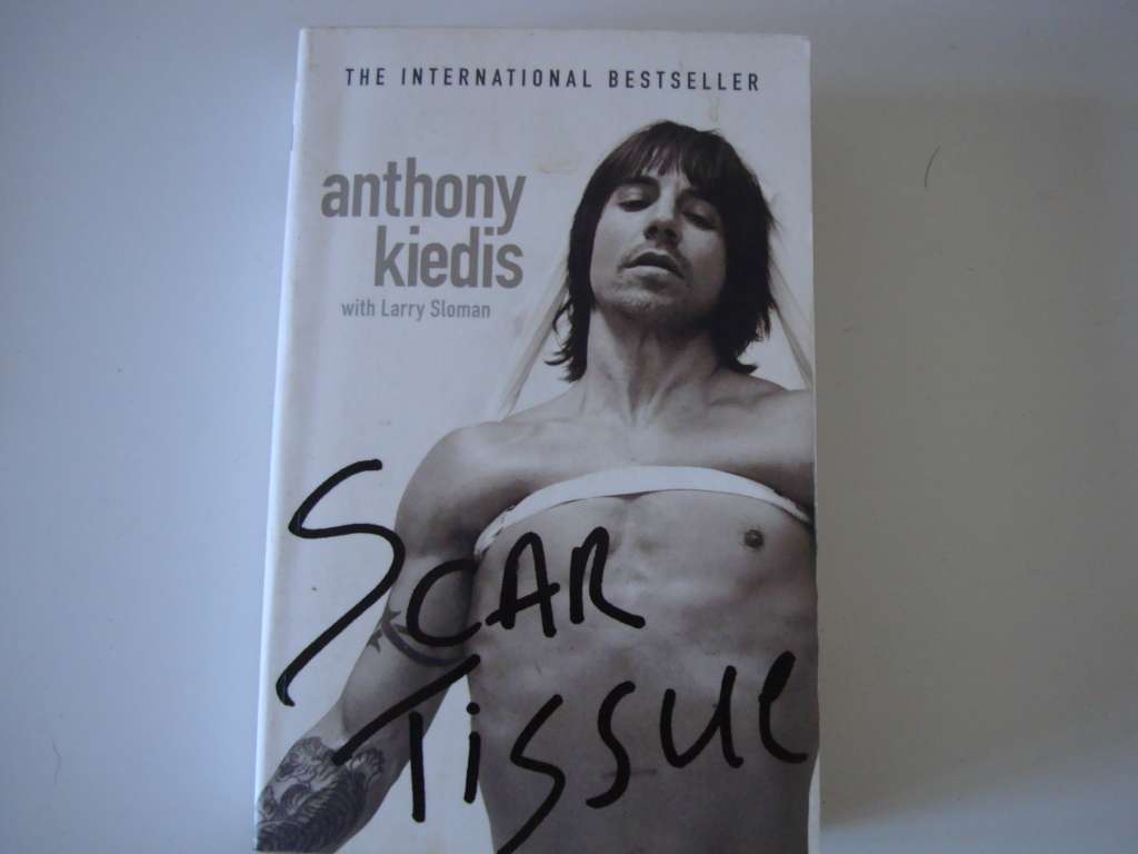 Anthony Kiedis - Scar Tissue