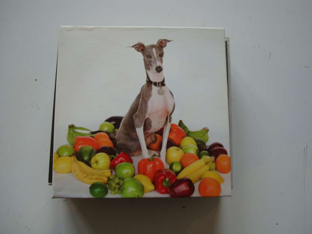 Shellac - Excellent Italian Greyhound CD