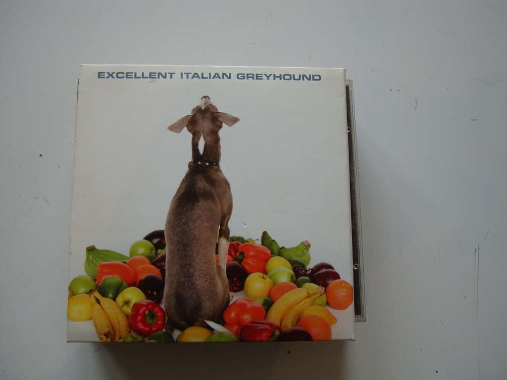 Shellac - Excellent Italian Greyhound CD