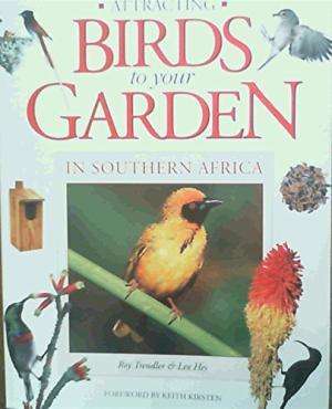 Attracting Birds to your Garden in Southern Africa
