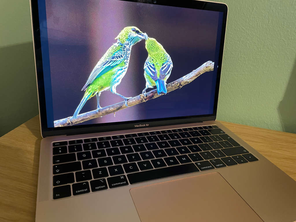 MacBook Air 13-Inch (2019) 128GB