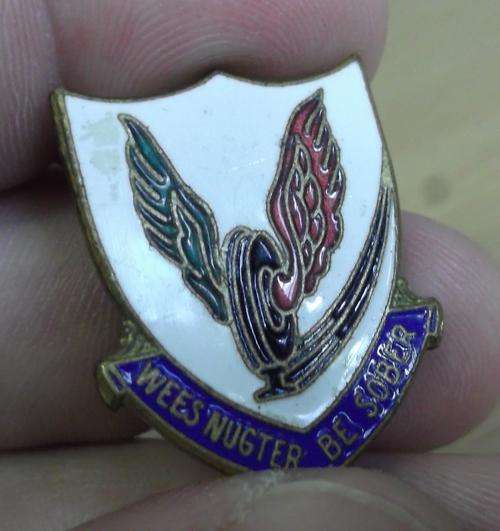 Wees Nugter - Be Sober, enamelled buttonhole badge - good condition