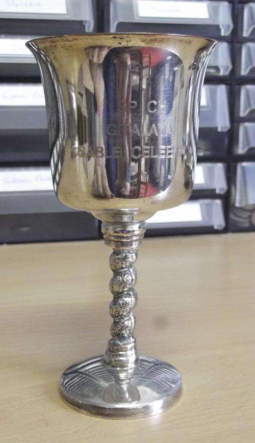 Silver plated chalice with 'SP CH Gitalaya Sable Celebrity' engraving - as per photos