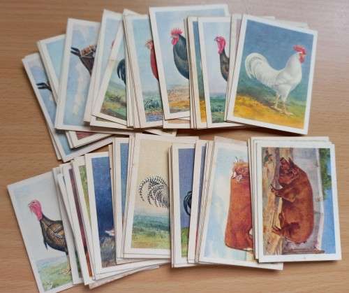 Farmyards of SA, Werwe van SA: part set of 77 cigarette cards by United Tobacco Co., duplicates