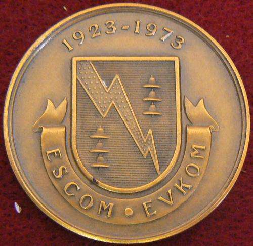 Escom bronze medallion