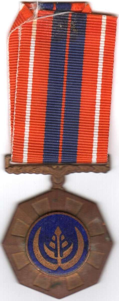 Pro Patria medal - number 150563