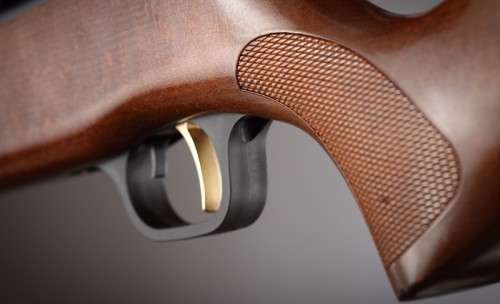 GS1250 5.5mm 800 - 900 fps. ONLY ONE AVAILABLE