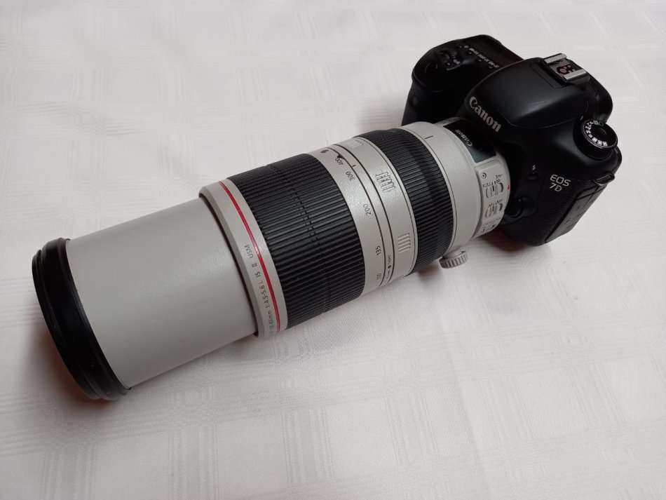 Canon 7D + Canon 100-400mm Mark II Lens + Free Tripod