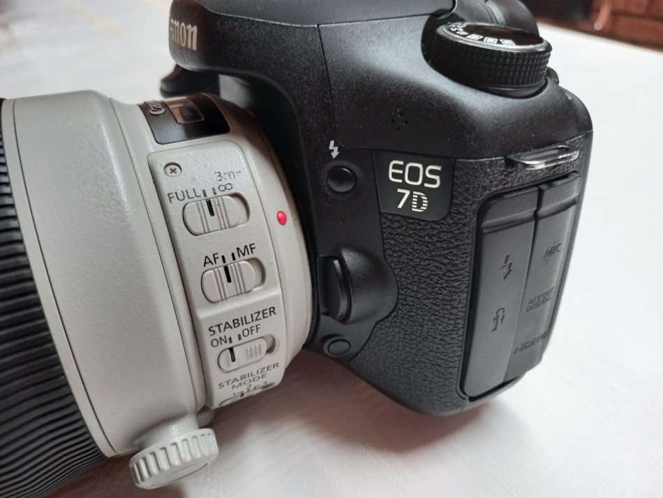 Canon 7D + Canon 100-400mm Mark II Lens + Free Tripod