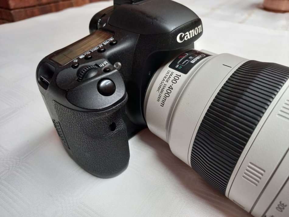 Canon 7D + Canon 100-400mm Mark II Lens + Free Tripod