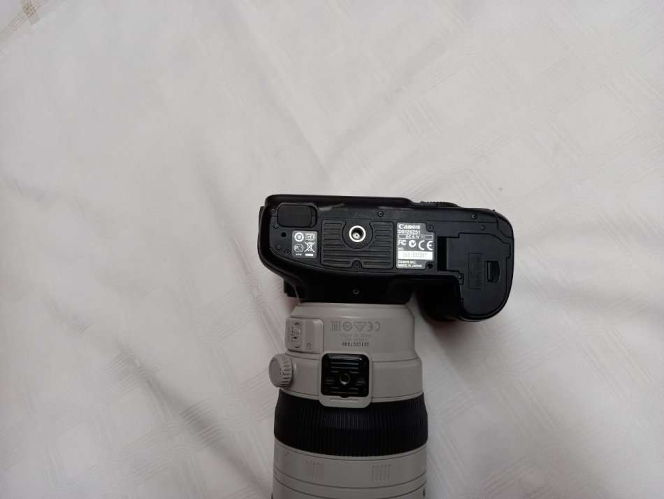 Canon 7D + Canon 100-400mm Mark II Lens + Free Tripod