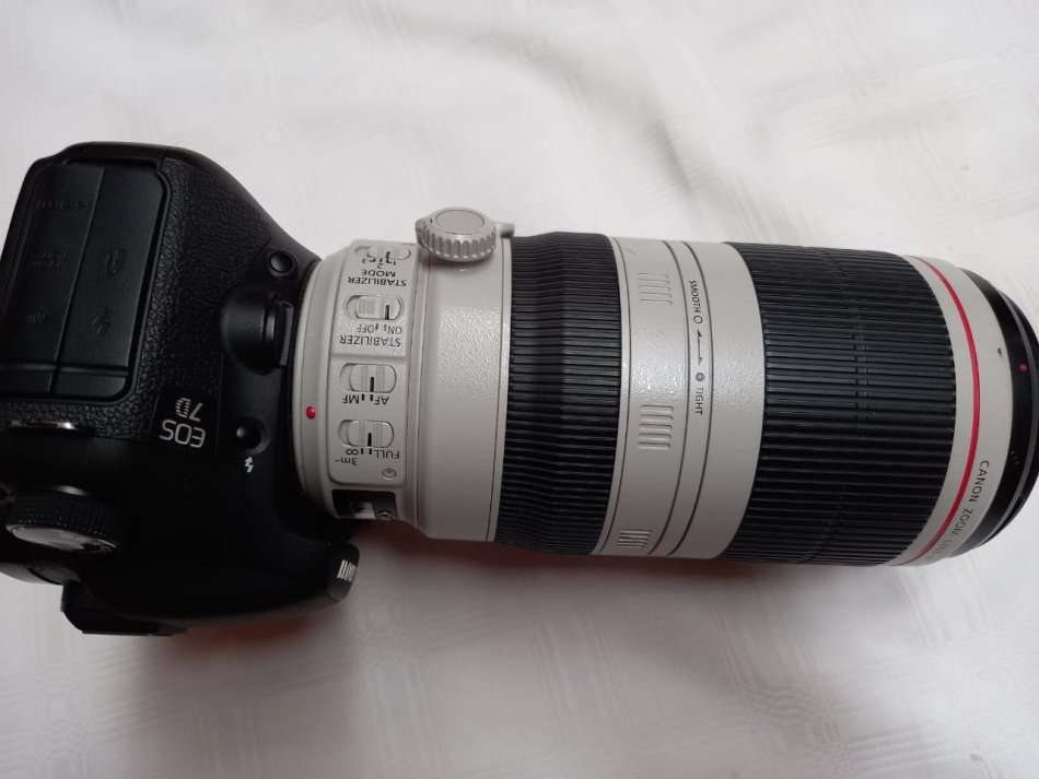 Canon 7D + Canon 100-400mm Mark II Lens + Free Tripod