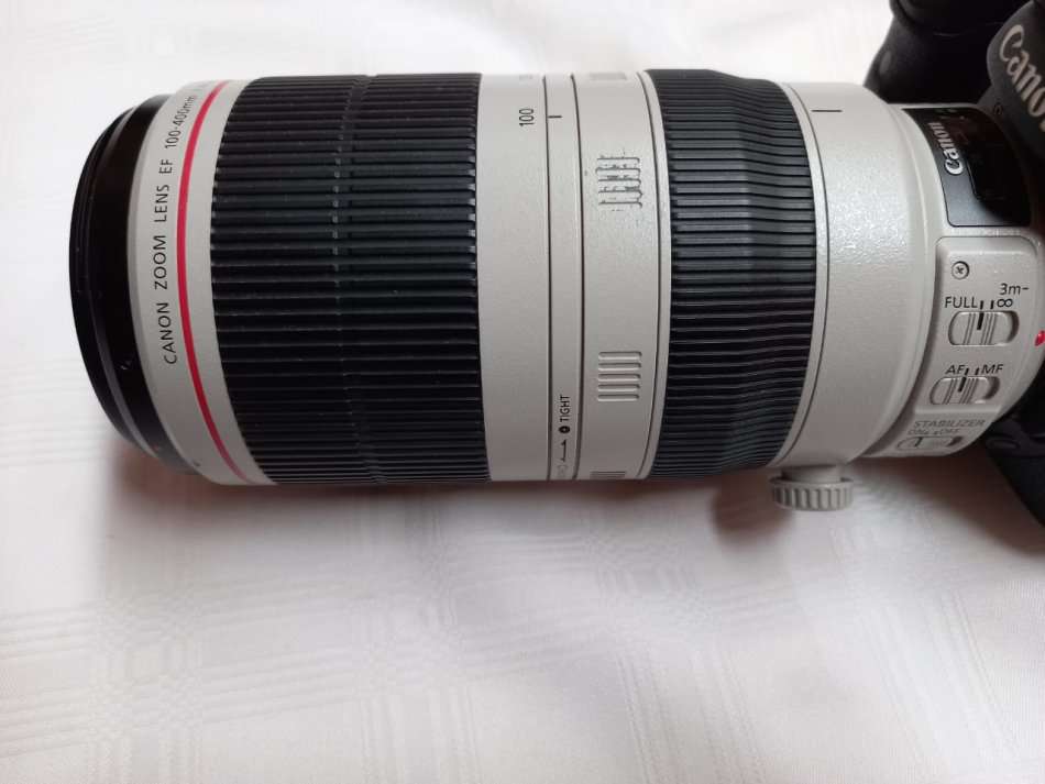 Canon 7D + Canon 100-400mm Mark II Lens + Free Tripod