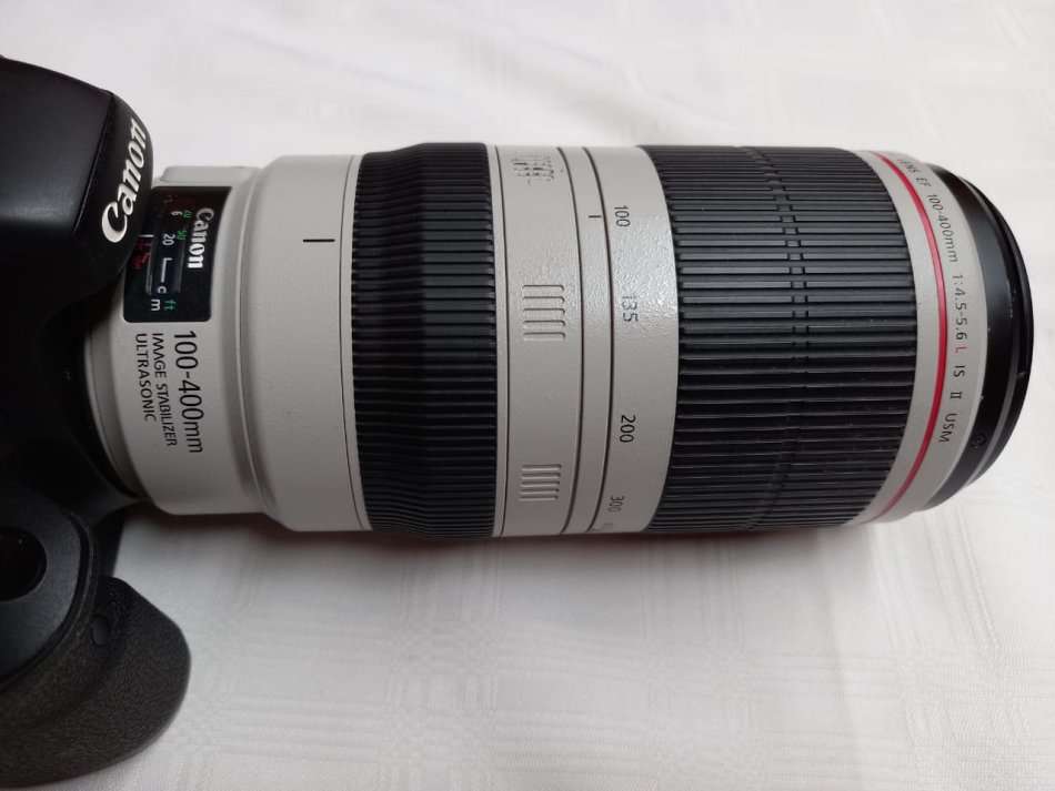 Canon 7D + Canon 100-400mm Mark II Lens + Free Tripod